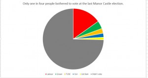 didntvotepiechart