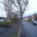 Link to Trees on Donnington Road